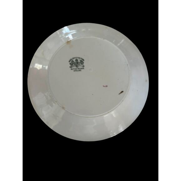 Royal Ironstone China Alfred Meakin England Plate Copper Tea Leaf PatternAntique - Picture 2 of 5